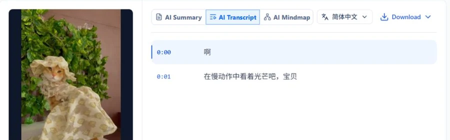 Instagram Reel beside its timestamped transcript in NoteAI